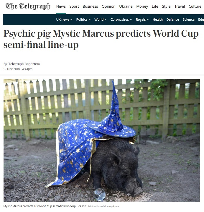 Farrowed futures psychic pig