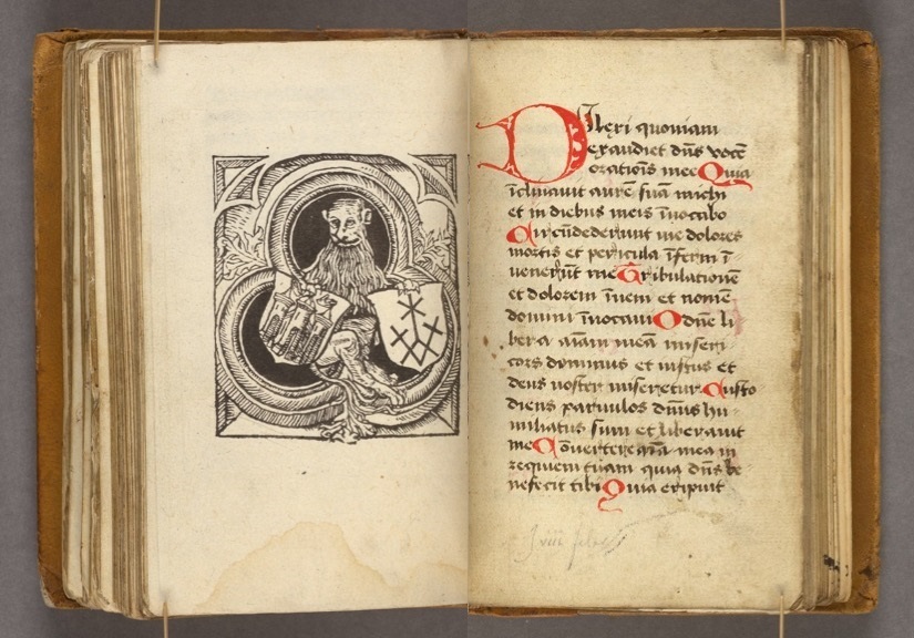 Fig 6 leeuw printed book