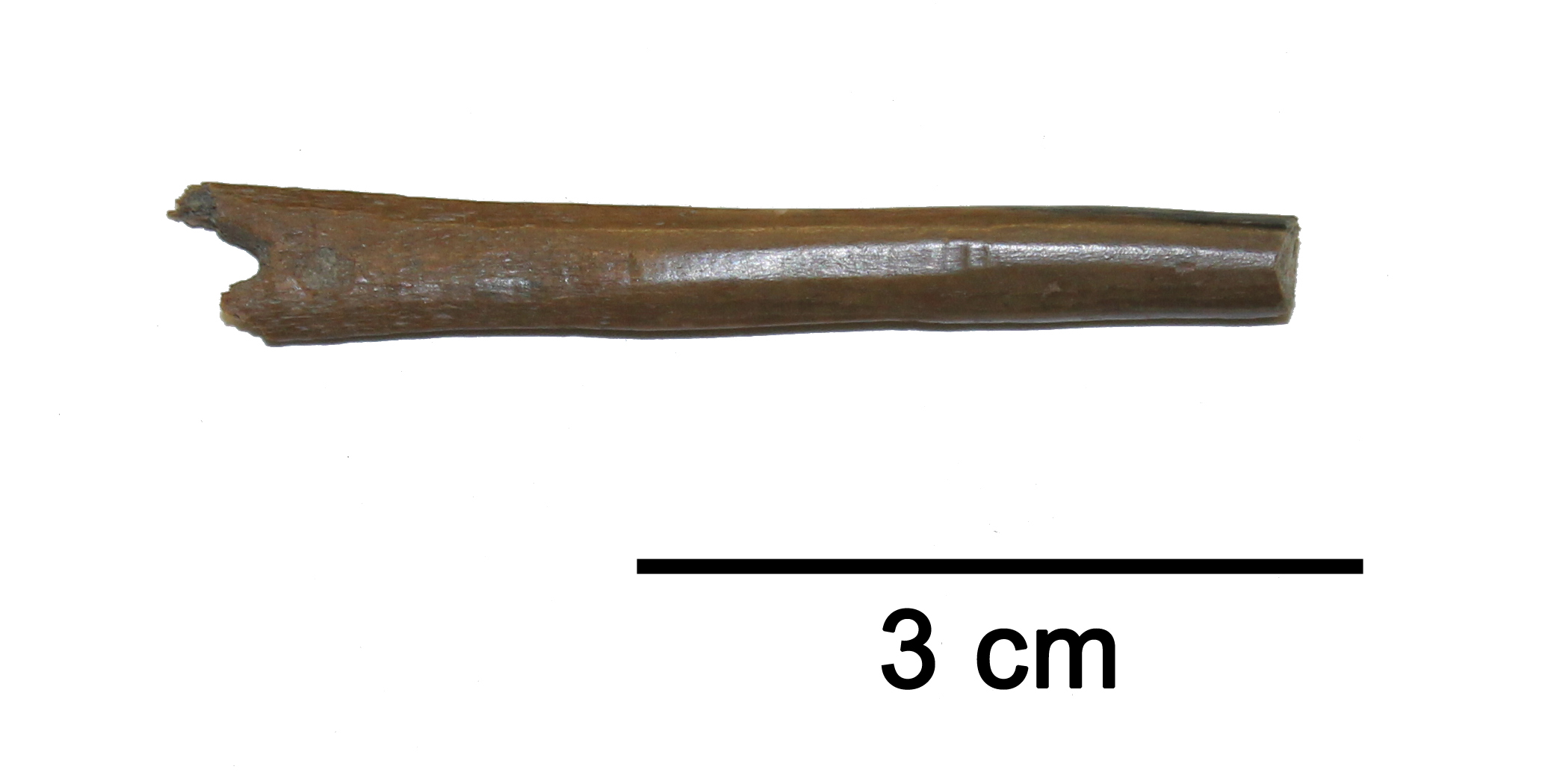 Fig 3 no 406 I