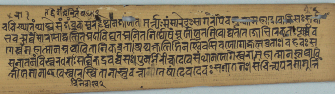 Image 3 131verso additions