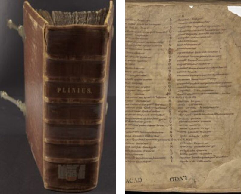 Leiden Universiteitsbibliotheek LIP 7 f 1r and Band