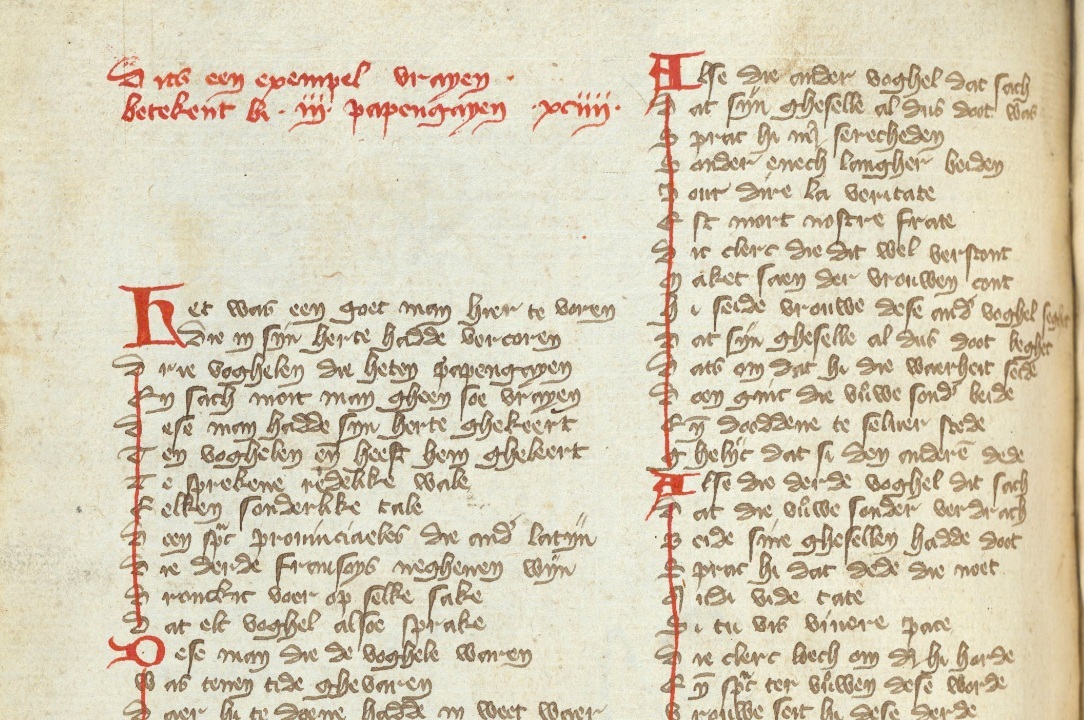 Middle dutch medieval parrots