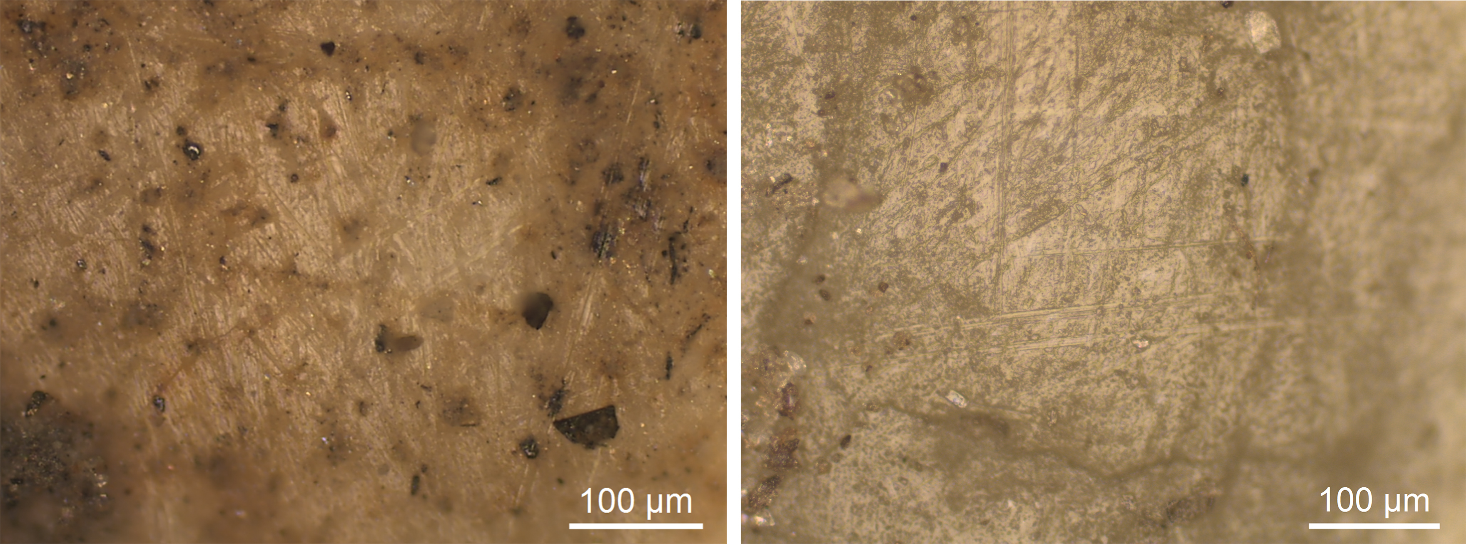 Use wear on archaeological and experimental sample of knucklebone floor