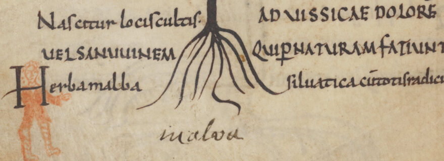 A new reading of medieval ‘doodles’