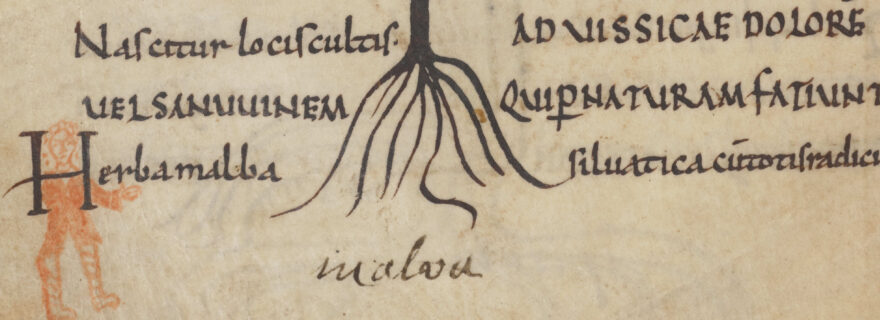 A new reading of medieval ‘doodles’