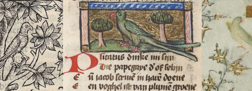 Feathered Philosophers and Their Brilliant Beaks: Talkings Parrots in Medieval Literature
