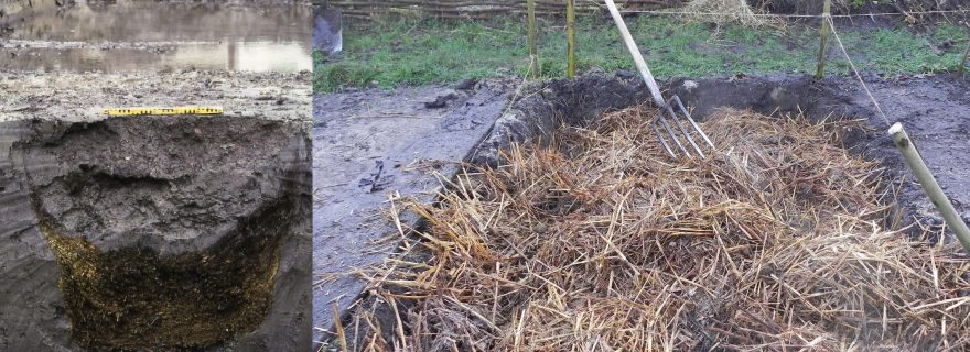 De broeibed&shy;hypothese: op zoek naar sporen van middeleeuwse tuinbouw