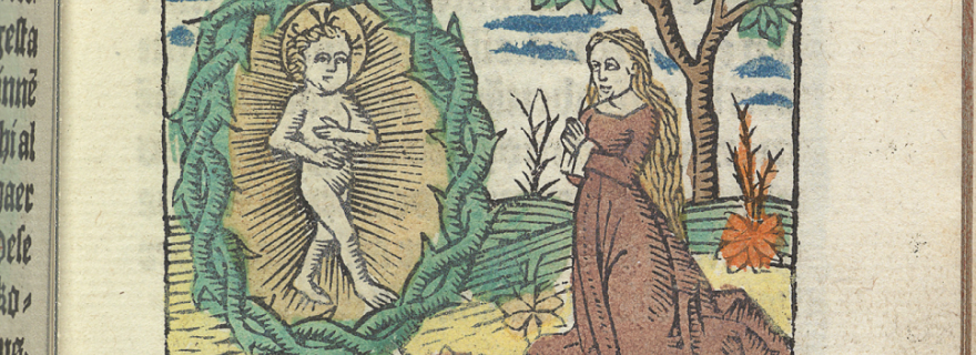 Picture Perfect: The Life of a Fifteenth-Century Woodcut