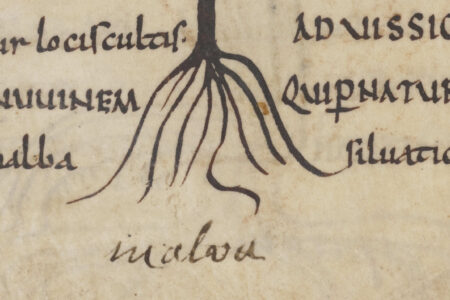 A new reading of medieval ‘doodles’