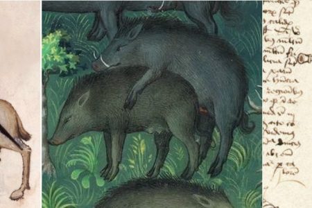Pigs and Bagpipes: Geoffrey Chaucer's Miller in Context