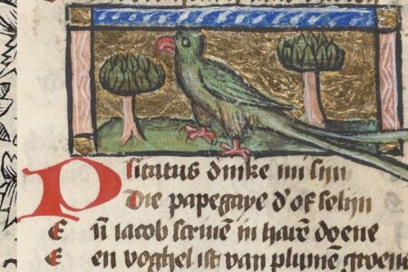 Feathered Philosophers and Their Brilliant Beaks: Talkings Parrots in Medieval Literature