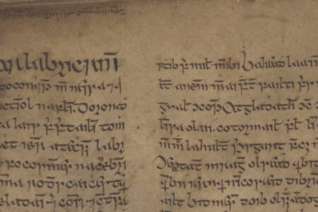 De Geheimen van het Ierse Handschrift: Universitaire Bibliotheek, Leiden, VLQ 7