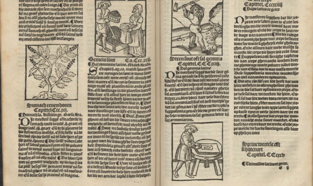 Blog fig 2 Herbarius 1526 E1v E2r