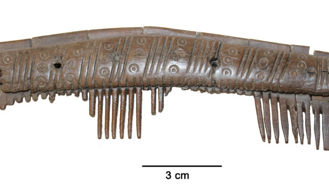Fig 1 no 213 II