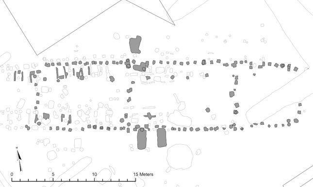 Fig 02 Ede Veldhuizen copy