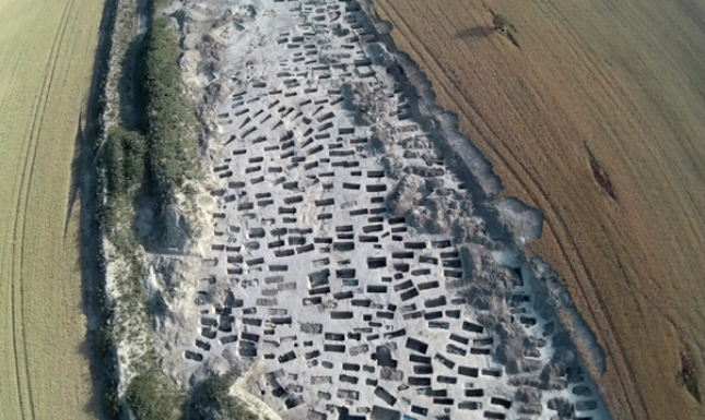 LMB Poddunajské Biskupice