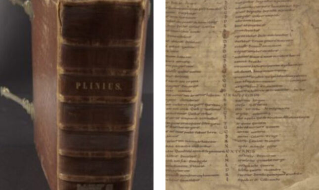 Leiden Universiteitsbibliotheek LIP 7 f 1r and Band