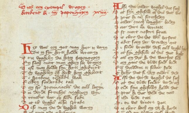 Middle dutch medieval parrots