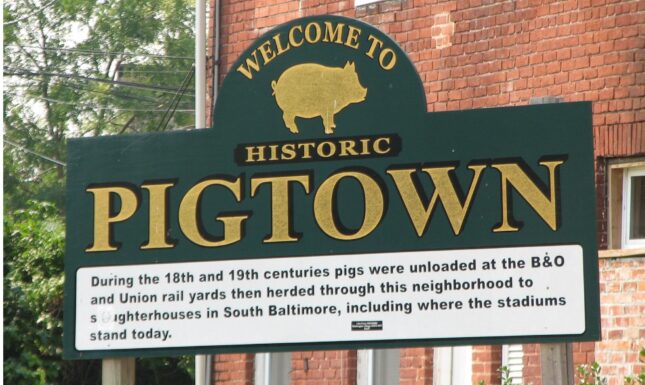 Pigtown baltimore