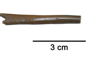 Fig 3 no 406 I