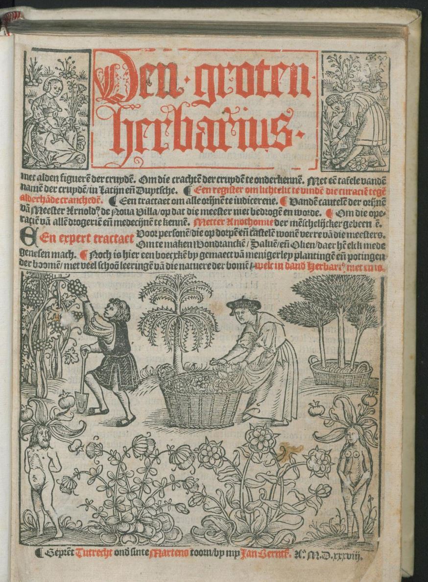 Blog fig 1 Herbarius 1538 titelblad