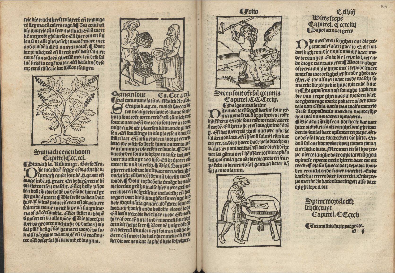 Blog fig 2 Herbarius 1526 E1v E2r